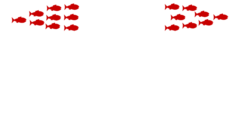 魚群 いっ八